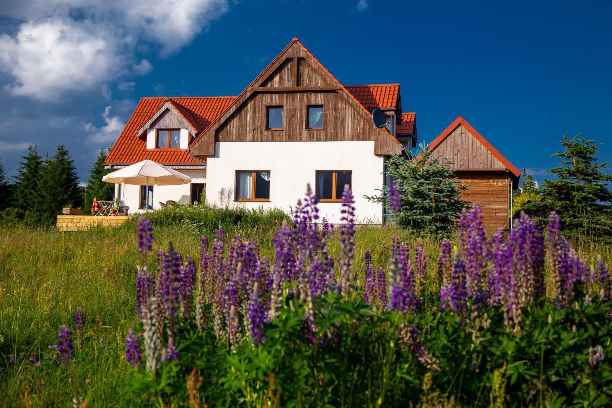 Przystanek Lasowka Exterior photo